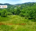Снимка 3 — Парцел в Смолян, с. Чокманово