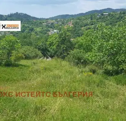 Снимка 3 — Парцел в Смолян, с. Чокманово