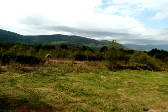Парцел в София, Ботев