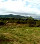 Парцел в София, Ботев