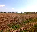 Снимка 5 — Парцел в София, Костинброд