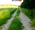 Снимка 3 — Парцел в София, с. Алдомировци