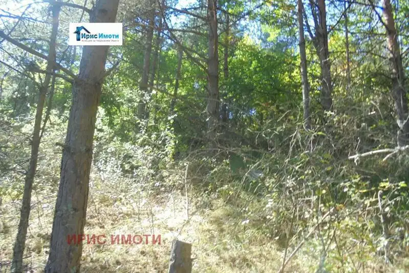 Парцел в София, с. Белчин
