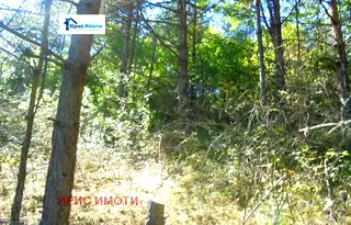 Парцел в София, с. Белчин