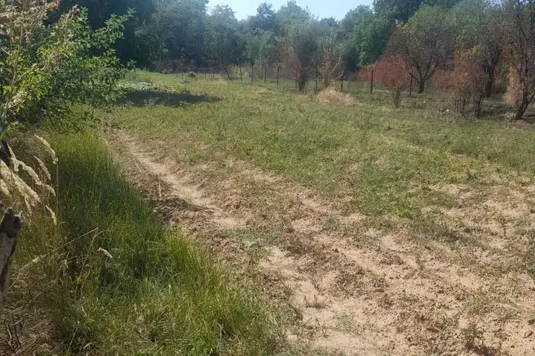 Plot in област София, Drymsha