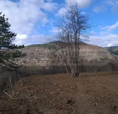 Photo 3 — Plot in област София, Eleshnica
