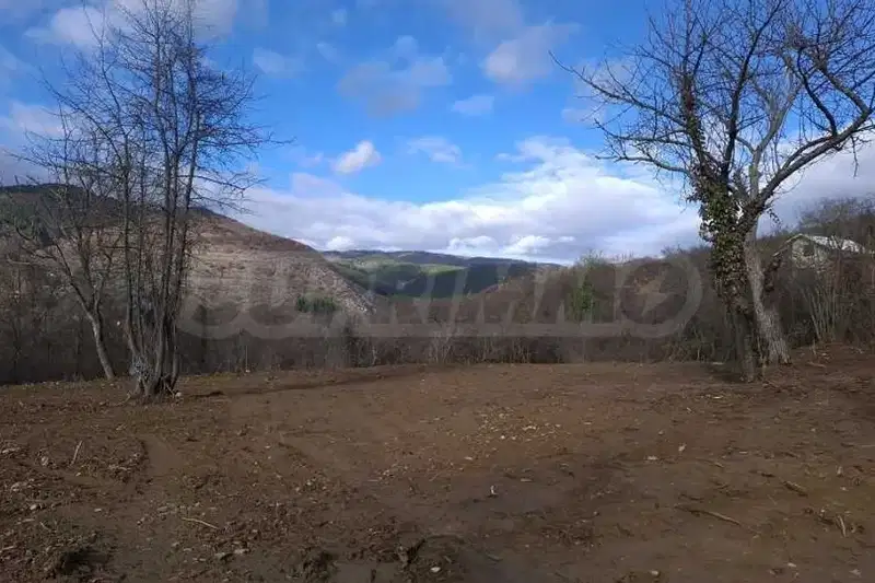 Plot in област София, Eleshnica