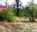 Снимка 3 — Парцел в София, с. Елешница
