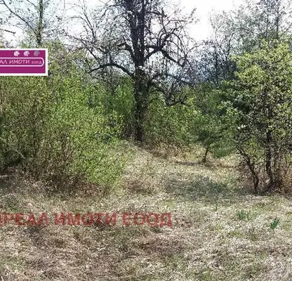 Photo 3 — Plot in област София, Eleshnica