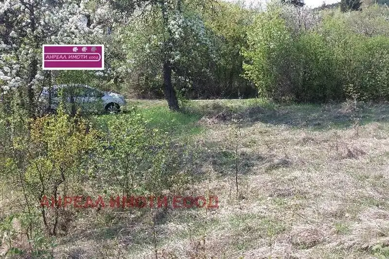 Plot in област София, Eleshnica