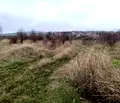 Снимка 3 — Парцел в София, с. Храбърско