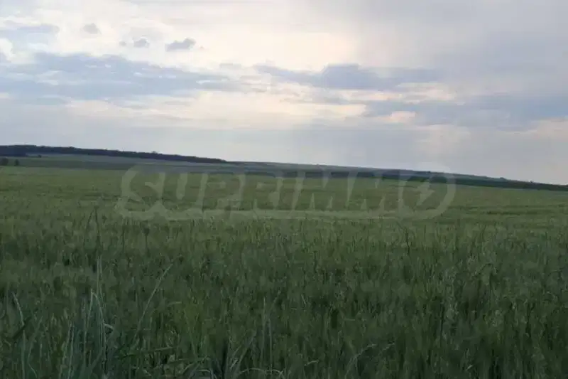 Plot in област София, Hrabyrsko