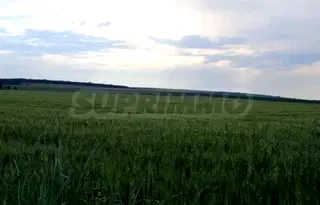 Парцел в София, с. Храбърско