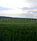 Парцел в София, с. Храбърско
