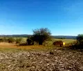 Снимка 3 — Парцел в София, с. Пауново