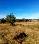 Парцел в София, с. Пауново
