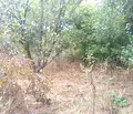 Снимка 2 — Парцел в София, с. Петърч