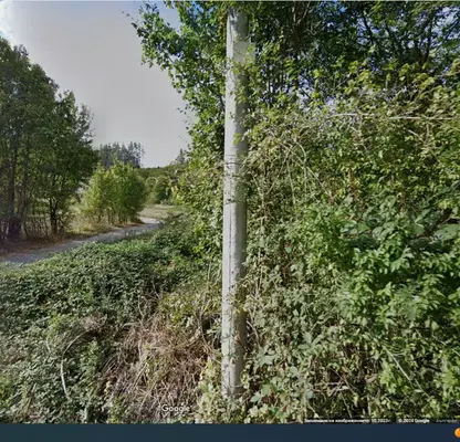 Photo 2 — Plot in област София, Ribarica
