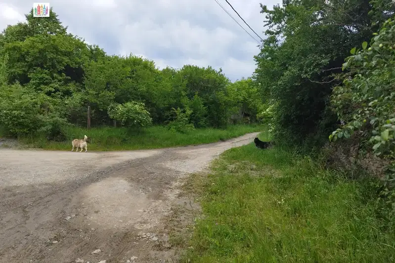 Парцел в София, с. Селянин