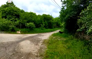 Парцел в София, с. Селянин