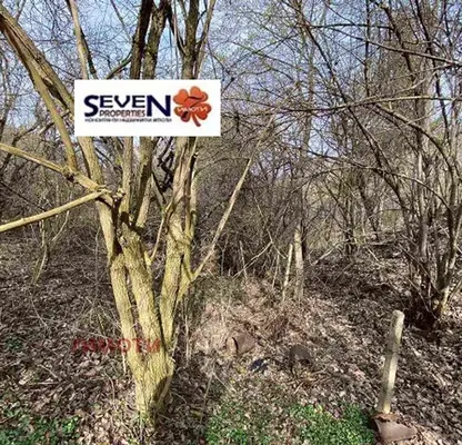 Photo 3 — Plot in област София, Vlado Trichkov