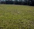 Снимка 5 — Парцел в Стара Загора, с. Богомилово