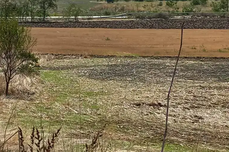 Plot in Oblast Stara Zagora, Bogomilovo