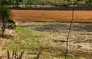 Парцел в Стара Загора, с. Богомилово