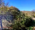 Снимка 2 — Парцел в Стара Загора, с. Ново село