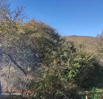 Photo 2 — Plot in Oblast Stara Zagora, Novo Selo