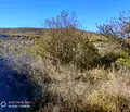 Снимка 3 — Парцел в Стара Загора, с. Ново село
