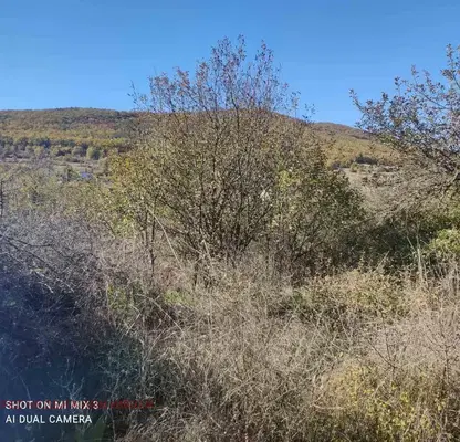 Photo 3 — Plot in Oblast Stara Zagora, Novo Selo