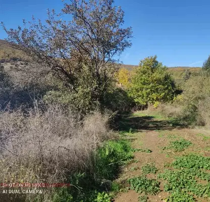 Photo 4 — Plot in Oblast Stara Zagora, Novo Selo