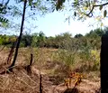 Снимка 2 — Парцел в Стара Загора, с. Обручище