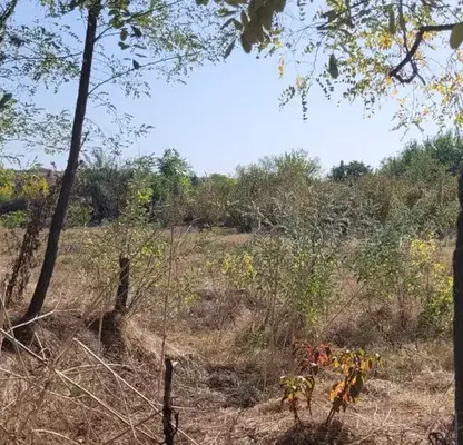 Photo 2 — Plot in Oblast Stara Zagora, Obruchishte