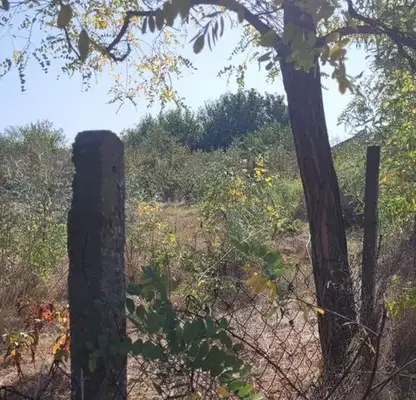 Photo 4 — Plot in Oblast Stara Zagora, Obruchishte