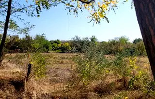 Парцел в Стара Загора, с. Обручище
