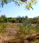 Парцел в Стара Загора, с. Обручище