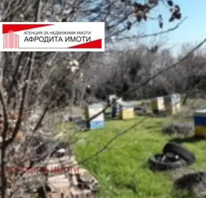 Снимка 4 — Парцел в Стара Загора, с. Оряховица