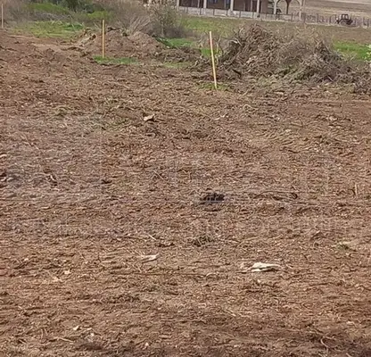 Photo 3 — Plot in Oblast Varna, Byala