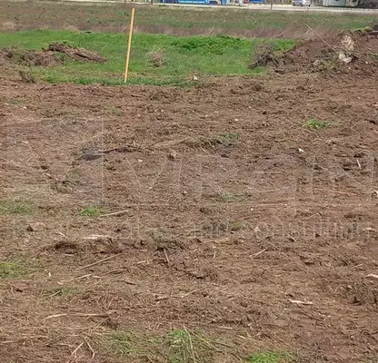 Photo 4 — Plot in Oblast Varna, Byala