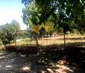 Снимка 5 — Парцел във Варна, Суворово