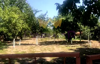 Парцел във Варна, Суворово