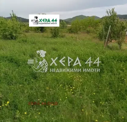 Photo 2 — Plot in Oblast Varna, Avren