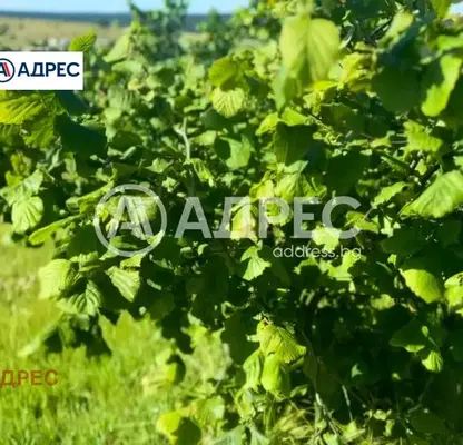 Photo 2 — Plot in Oblast Varna, Benkovski