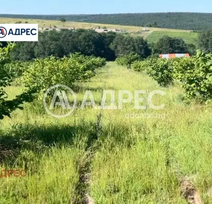 Photo 3 — Plot in Oblast Varna, Benkovski