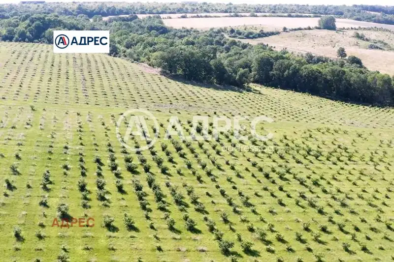 Парцел във Варна, с. Бенковски