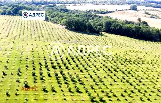 Парцел във Варна, с. Бенковски