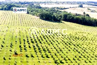 Парцел във Варна, с. Бенковски