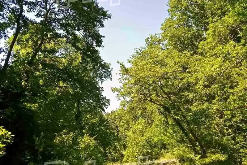 Plot in Oblast Varna, Bliznaci